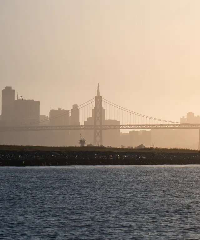 Golden Hour (1)